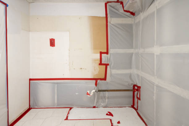 Best Mold-Related Health Consultation  in Quartz Hill, CA