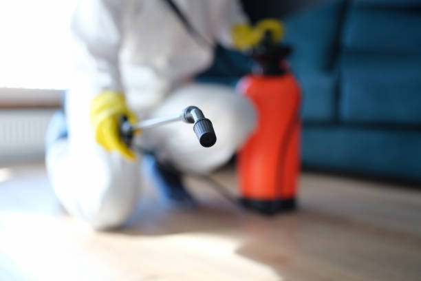 Best Comprehensive Air Testing for Mold Contaminants  in Quartz Hill, CA