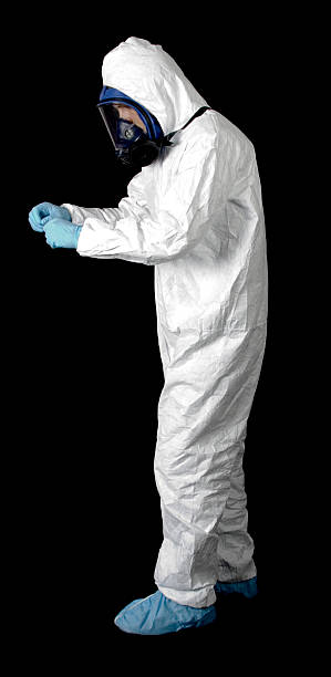 Best Attic Mold Removal  in Quartz Hill, CA