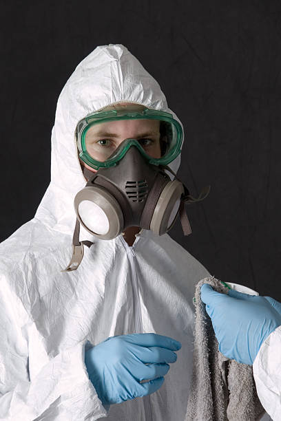 Best Real Estate Mold Inspection  in Quartz Hill, CA